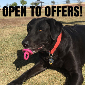 I'm happy to negotiate!